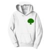 Youth Fan Favorite Fleece Pullover Hooded Sweatshirt Thumbnail